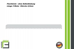 Flachleiste nicht SK 3 meter